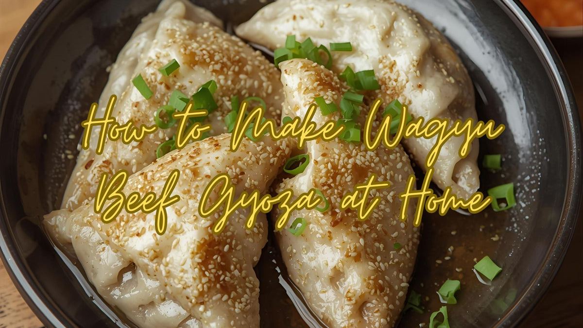 How to Make Wagyu Beef Gyoza at Home - Kai Wagyu