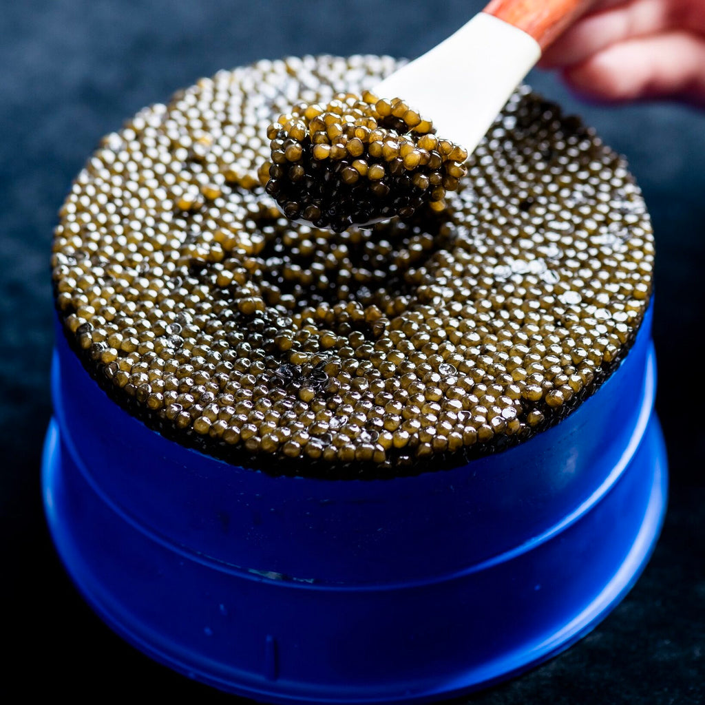 Party Size Premier Selection Kaluga Reserve Caviar (500g)