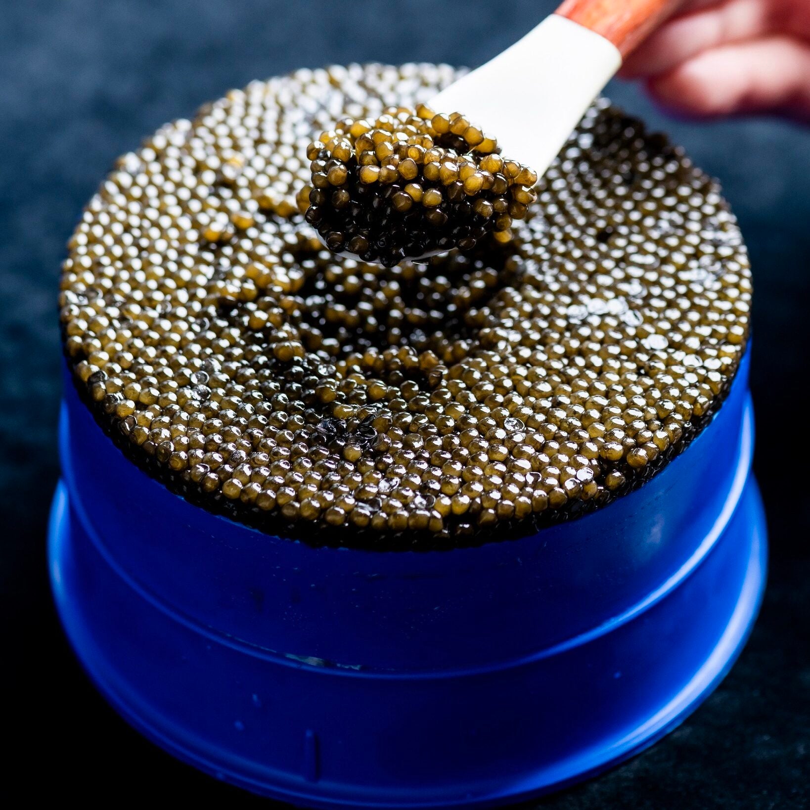 Party Size Premier Selection Kaluga Reserve Caviar (500g)